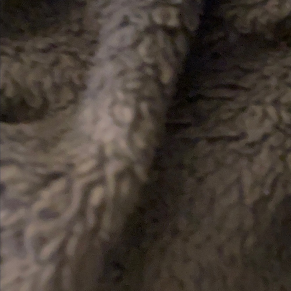 Meet your Posher, Karoline